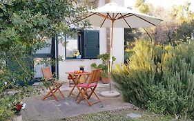 Dommos - Caracol Apartments